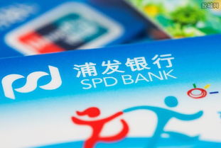 浦发新片区分行正式揭牌 更好服务上海自贸区建设