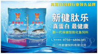 2019年巴沙鱼继续火爆 有人一次性下了数千万的订单