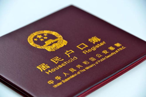 美女博士被婆婆割喉,现场惨不忍睹,婆婆杀人动机令人气愤